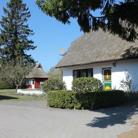Ferienhaus Ilva In Born Villa Exterior photo